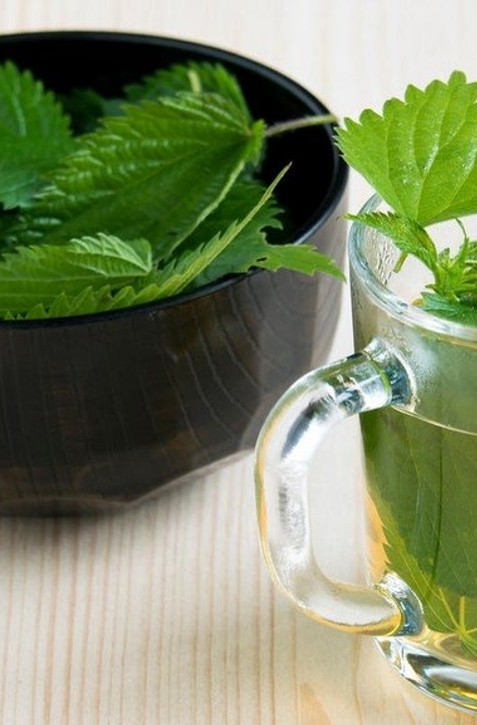 Túto bylinu nájdete všade: Podporuje vylučovanie inzulínu a chráni pečeň