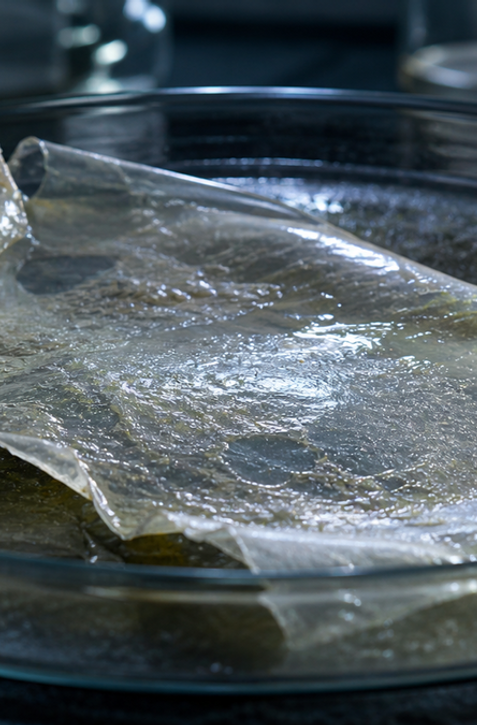 Vedci vytvorili živý plast. Potom sa sám zničil