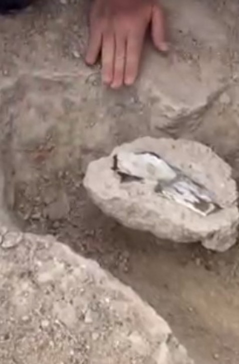 Veľké sucho, silný vietor a nebezpečné muchy. Aj tak vyzerá prvá dinosaurologická expedícia v histórii Slovenska