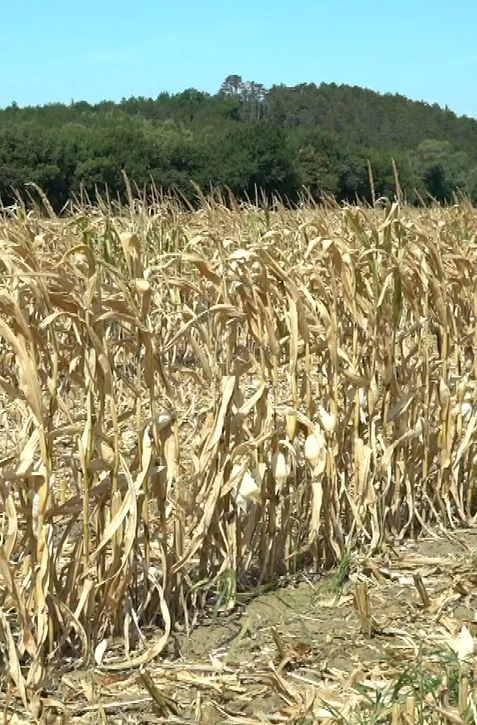 EÚ má prvú legislatívu o pôde. Vytvorí sa zoznam kontaminovaných pôd