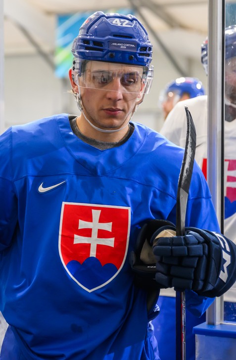 Martin FEHÉRVÁRY si na Nemcov verí