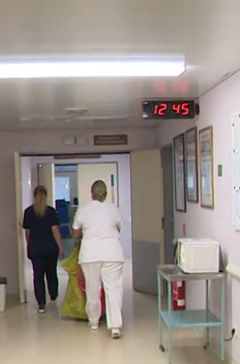 Norovírus je postrach hotelov, lodi aj nemocníc: Ohrozuje pacientov i zdravotníkov
