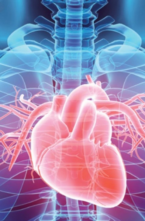 Supermoderný EKG prístroj pomôže deťom i dospelým s chorým srdcom