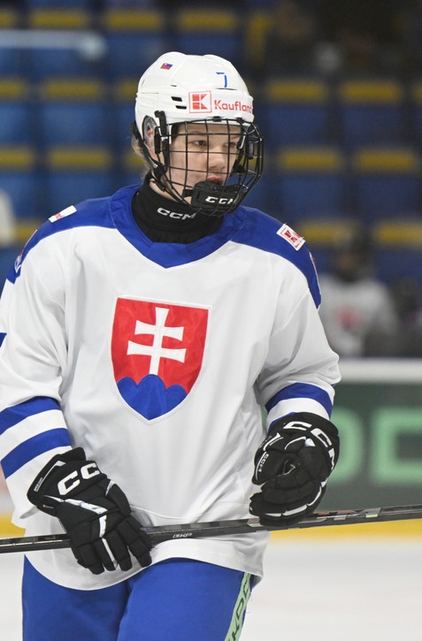 Po vysokej výhre prvá prehra na MS. Najlepšou hráčkou LOPUŠANOVÁ