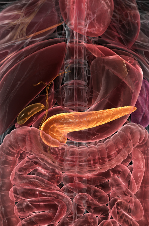 Úžasný úspech českých vedcov: Vynašli krvný test, ktorým dokážu odhaliť, komu hrozí rakovina pankreasu!