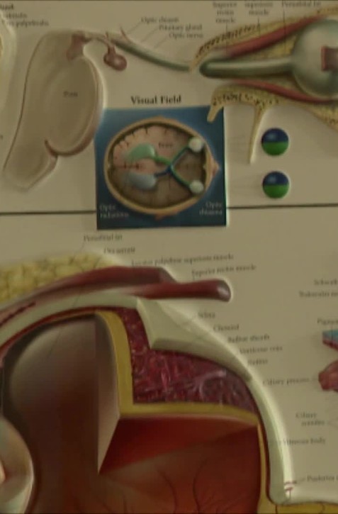 TOTO je 8 spôsobov ako chrániť oči pred starnutím. Ako vidieť lepšie?