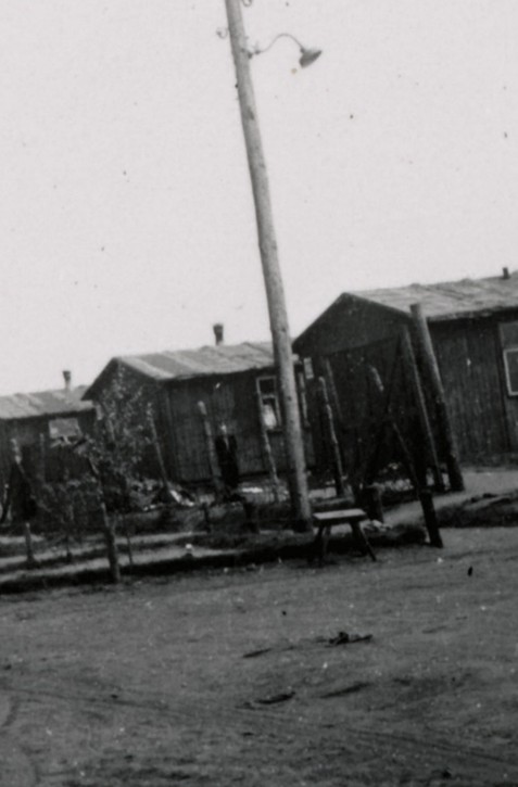 V šiestich rokoch v Bergen-Belsene