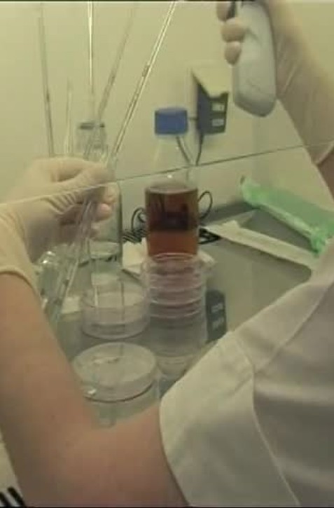 Silná alergia už nemusí ohrozovať váš život: Záchranou je imunoterapia