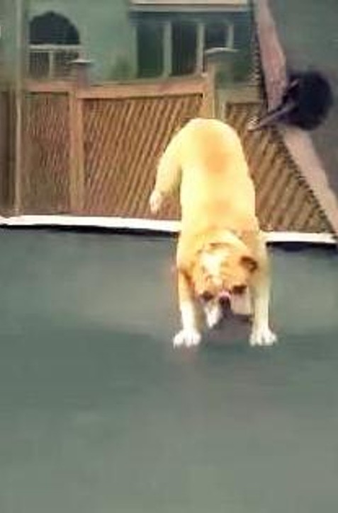 Traumatológovia: Úrazy detí na trampolínach sa množia.  Toto je 7 vecí, ktoré pri skákaní nedovoľte!