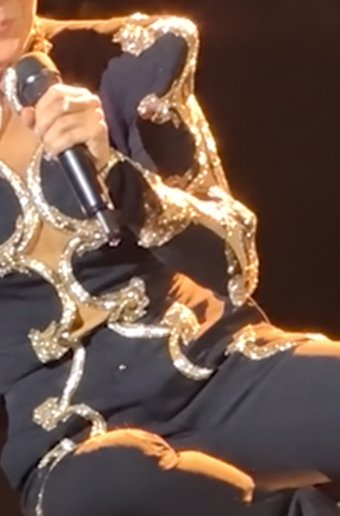 Chvíle strachu o svetovú divu: Náhly PÁD Céline Dion priamo na javisku!