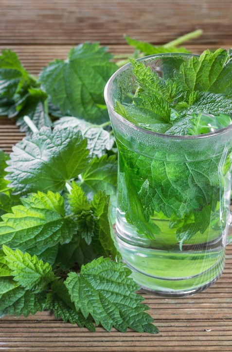 Kráľovná jarných byliniek: Lieči močové cesty, cukrovku aj vysoký cholesterol