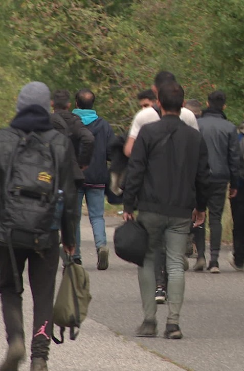 Fico odmieta tvrdenia Magyara o dovážaní migrantov na hranice: "Hranice boli deravé ako ementál"