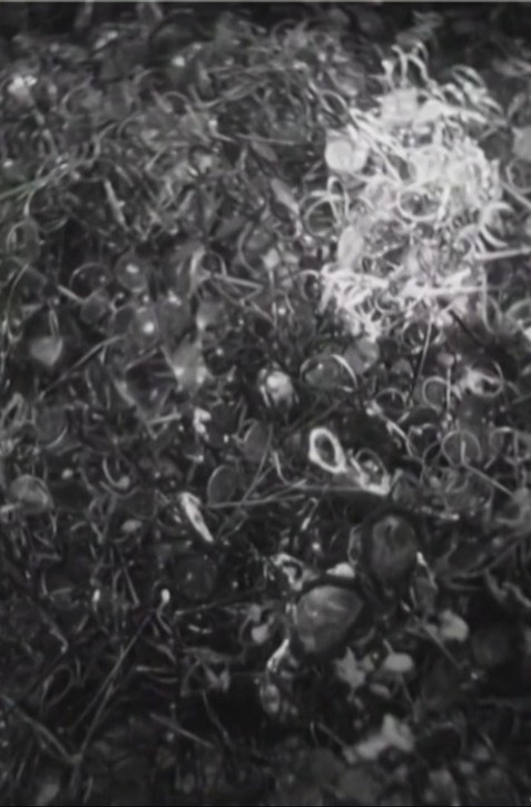 Štúdio 24: Prečo nezabúdať na Holokaust?