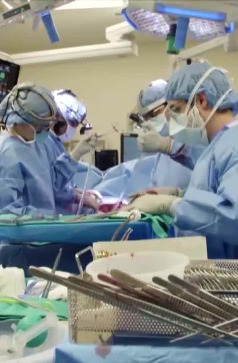 Českí lekári predstavili novú liečbu pľúcnej embólie: Zrazeninu rozpustia priamo v pľúcach
