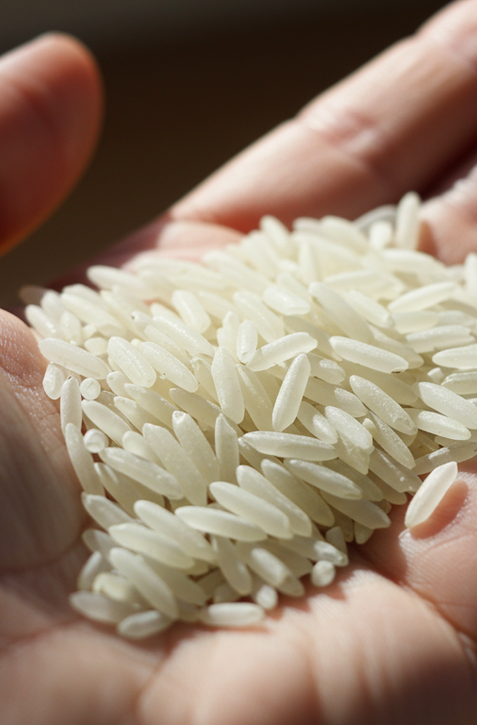 Pravda alebo mýtus? Ohrievanie ryže môže spôsobiť otravu jedlom!