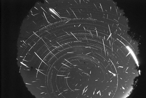 WhatsApp Image 2024-08-13 at 12.57.15