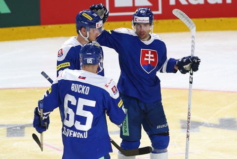 2024105103_prip_ms2024_svk_pol_01039669