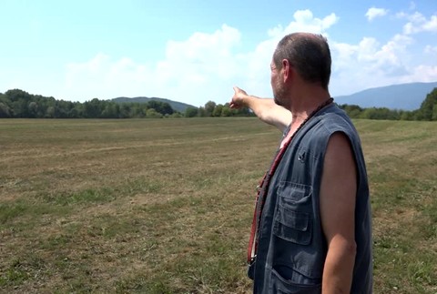 Medveď útočil4792