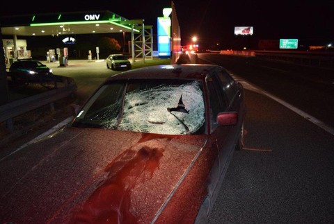 Tragická nehoda na R1. Chodec nemal šancu 