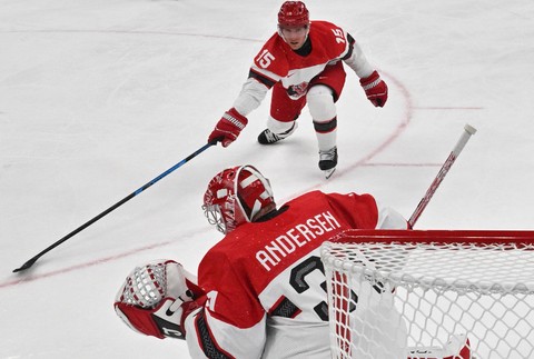 Zápas Česko - Dánsko