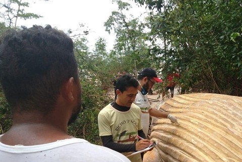 Vráskavec v pralese