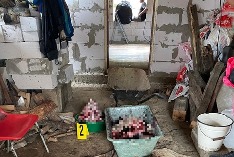 334991834_578252091026325_297205048227612998_n