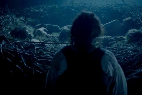 Sedem zhavranelých bratov