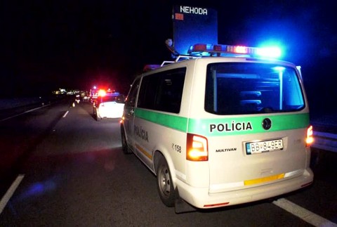 [multi] Nehoda srnček 3174