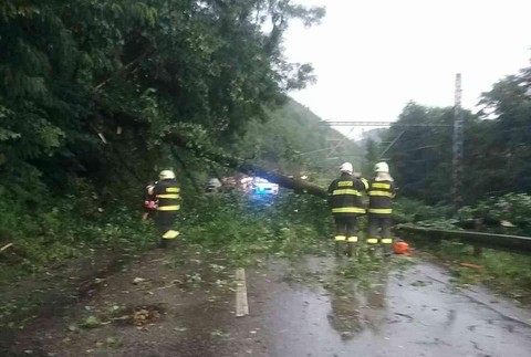 Rýchlik smerujúci do Bratislavy narazil do padnutého stromu. Trať je uzavretá 