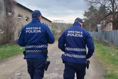 mestska policia il