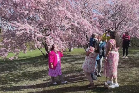 teplotne rekordy pocasie kvety (1)