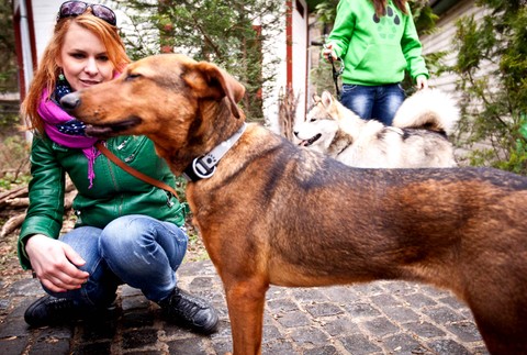 Nájdite sa! Kristína Farkašová charitatívny projekt psy útulky Horáreň