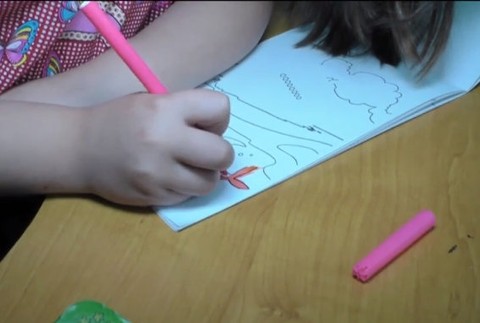 Kontroly malých migrantov