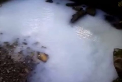 Voda v potoku sa premenila akoby na mlieko. Ohrozené zostali viaceré chránené živočíchy