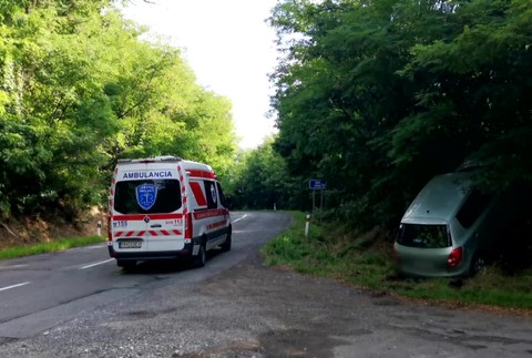 [multi] Náraz do stromov 10703