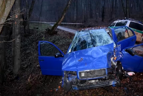 Vodič prešiel do protismeru a narazil do stromu