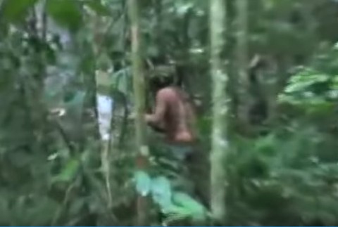 Tarzan v brazílskom pralese