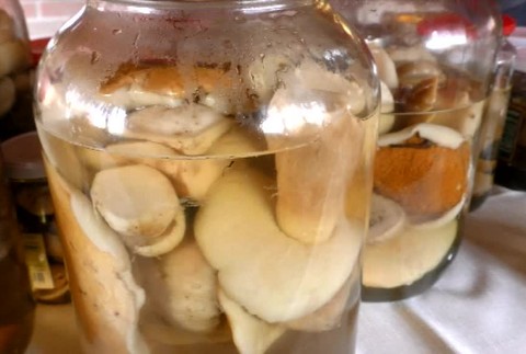 Tatry zaplnili hríby1003