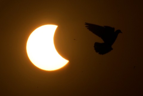 Čiastočné zatmenie Slnka