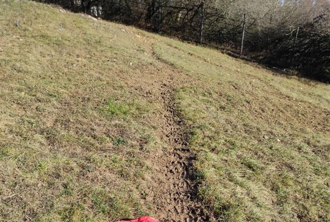 Zoo Bojnice - lampión šťastia vo výbehu oryxov
