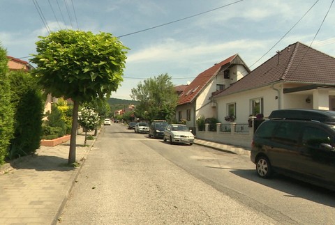 [multi] 071524AXT 8017