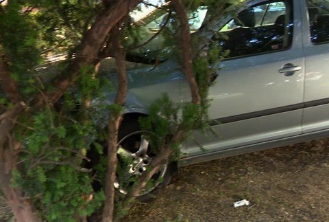 Policajnú naháňačku ukončil až náraz do stromu. Šofér už pozná trest