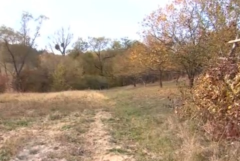 Pred 60. rokmi si postavili dom na cirkevnom pozemku. Tá by sa ich teraz vzdala, ale nie zadarmo