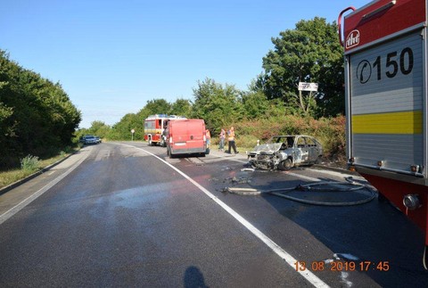 Nehodu spôsobila včela, ktorá vletela vodičke do auta 