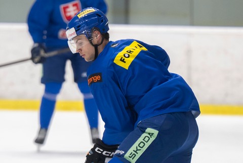 3november2025_Hokej_Repre_Zraz_19170135