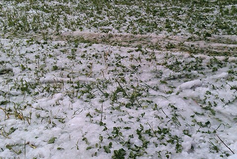 Na východe Slovenska v obci Hanigovce pri Sabinove to vyzeralo ako v decembri. Búrka so sebou priniesla aj ľadovec, ktorého bolo hojne. Prikladám pár názorných ukážok a video :) .
