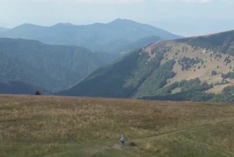 [multi] 083024XZN 1585