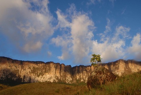 Speleológovia zo Slovenska, Čiech, Chorvátska a Venezuely zrealizovali v priebehu ôsmich rokov vo venezuelských stolových horách niekoľko vedeckých expedícií. Vďaka nim sa im podarilo objaviť aj unikátne jaskynné útvary. Medzi tie najzaujímavejšie patrí p
