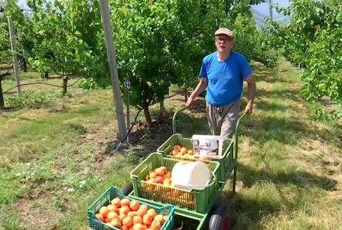 [multi] Ovocinari aktual vyvoj sebestacnost 9307