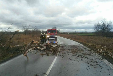 Popadané stromy, či povodne. Na Slovensku vyčíňa počasie